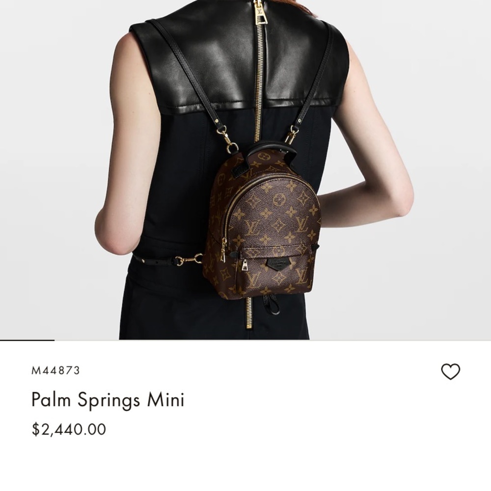 Louis Vuitton Reverse Palm Spring mini - Picture 6 of 6